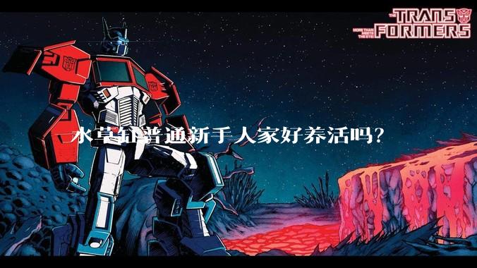 水草缸普通新手人家好养活吗？